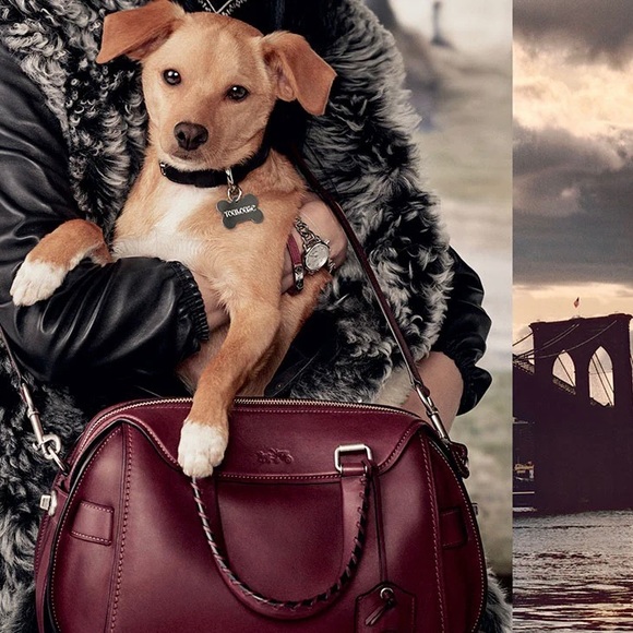 Coach Ace Satchel Shoulder Crossbody Burgundy Bag - Picture 11 of 16